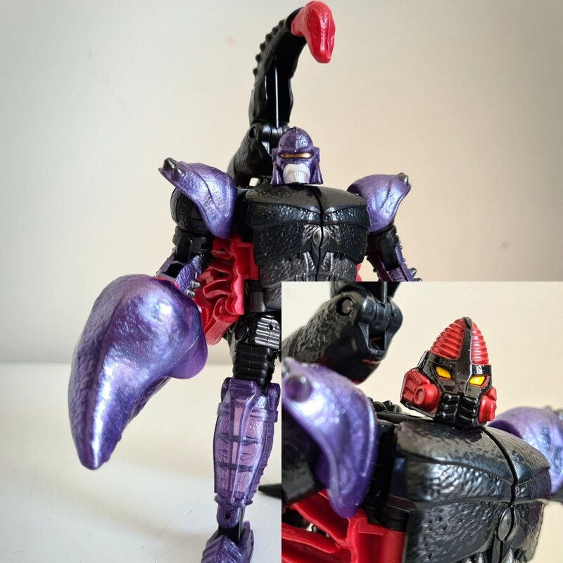 buzzworthy 4 pack
